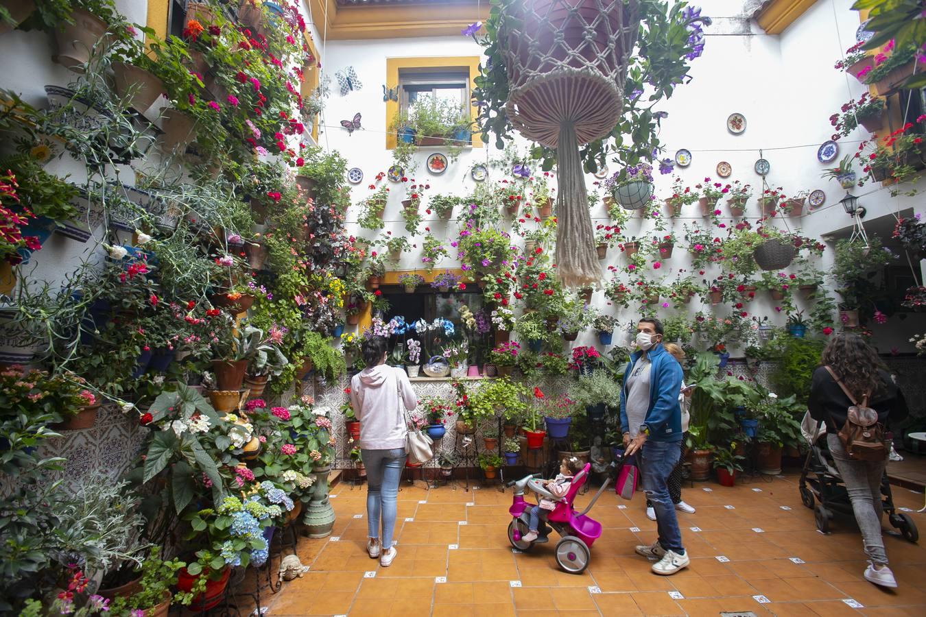 Los patios de San Lorenzo y San Agustín de Córdoba, en imágenes