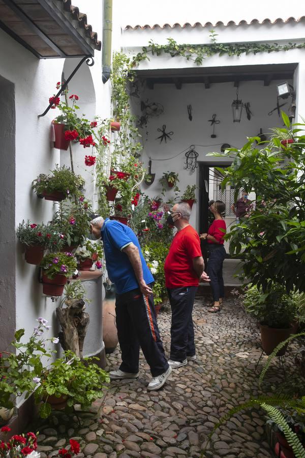 Los patios de San Lorenzo y San Agustín de Córdoba, en imágenes