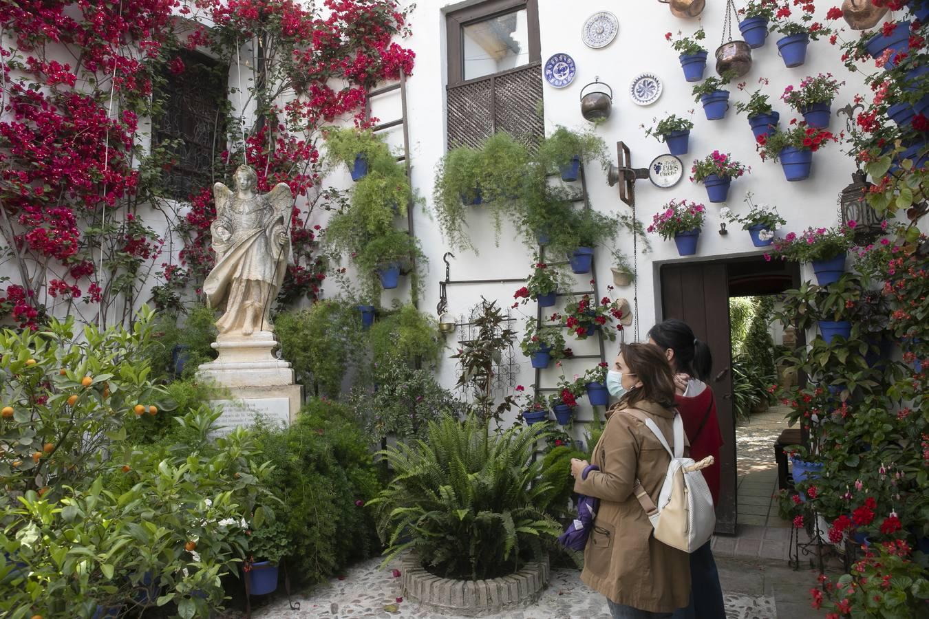 Los patios de San Lorenzo y San Agustín de Córdoba, en imágenes