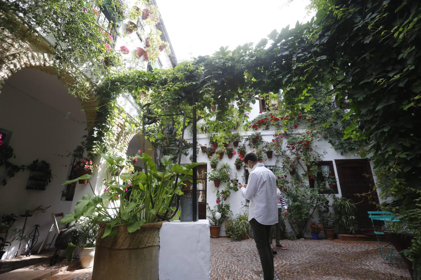 Los patios de la Judería de Córdoba, en imágenes