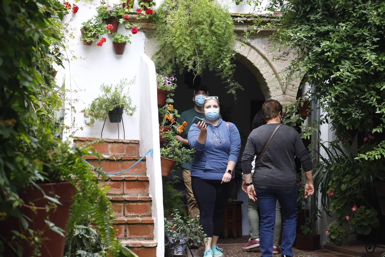 Los patios de la Judería de Córdoba, en imágenes