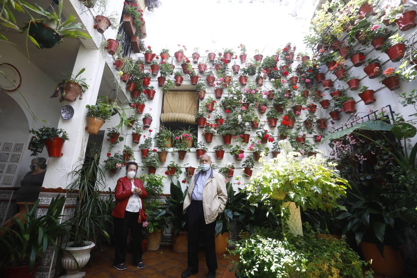 Los patios de la Judería de Córdoba, en imágenes