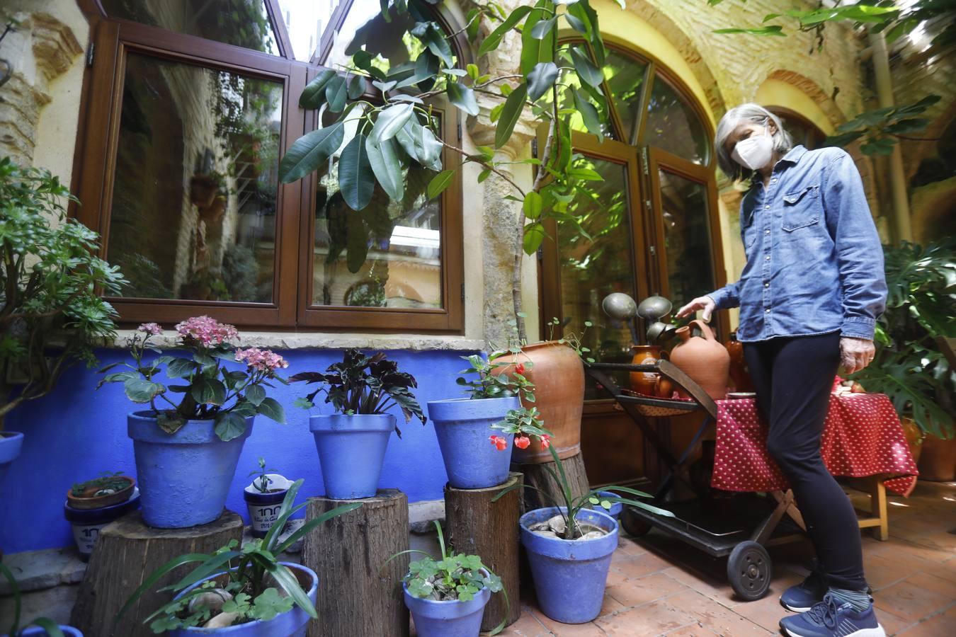 Los patios de la Judería de Córdoba, en imágenes