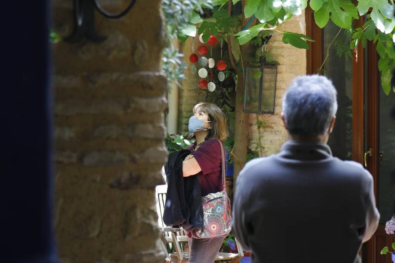 Los patios de la Judería de Córdoba, en imágenes