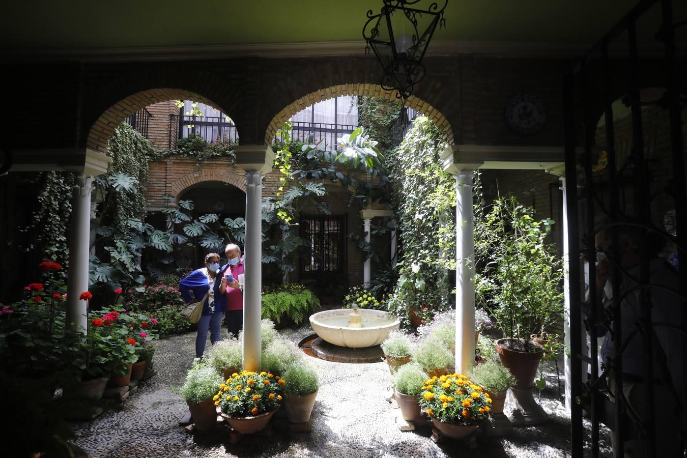 Los patios de la Judería de Córdoba, en imágenes