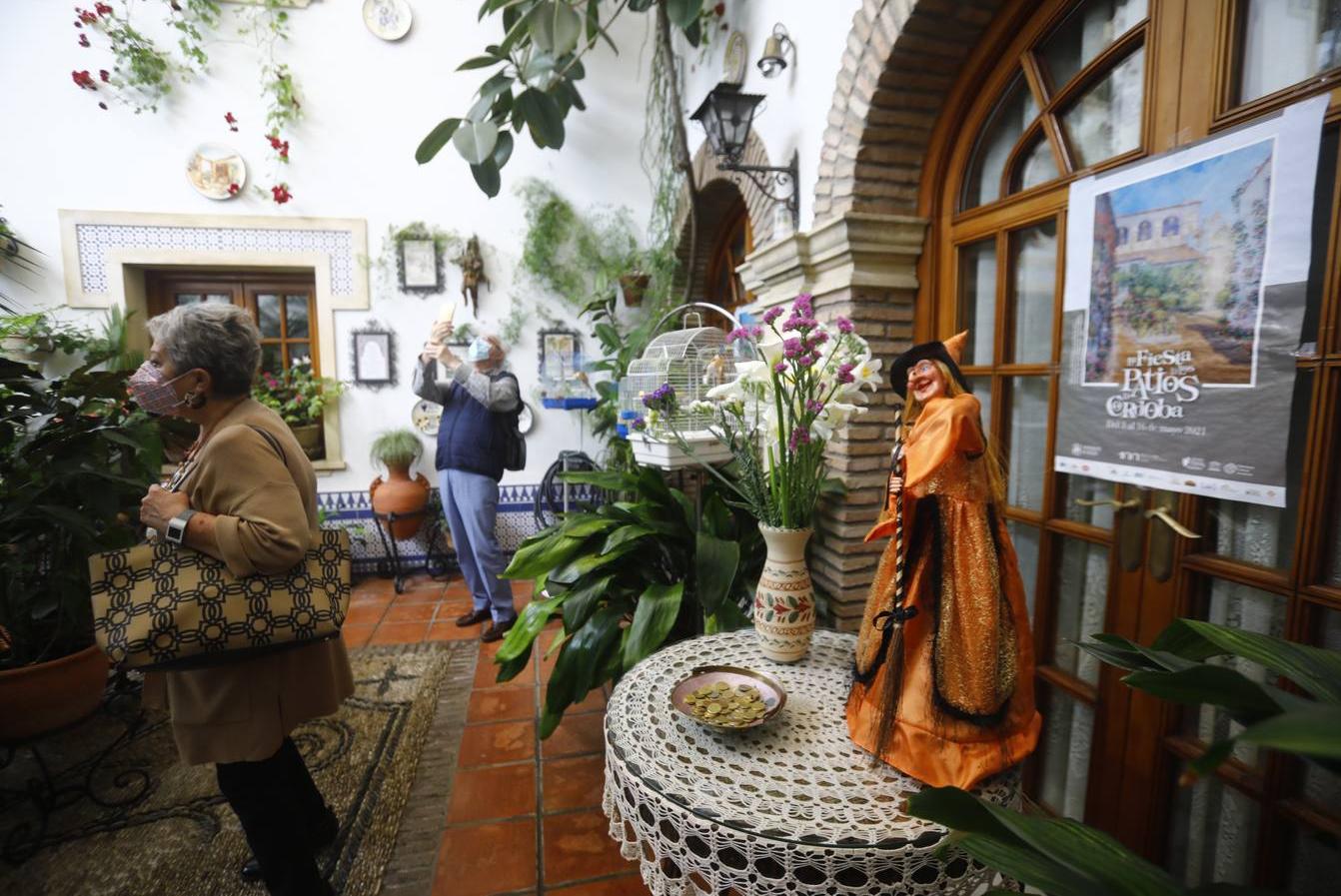 Los patios de la Judería de Córdoba, en imágenes