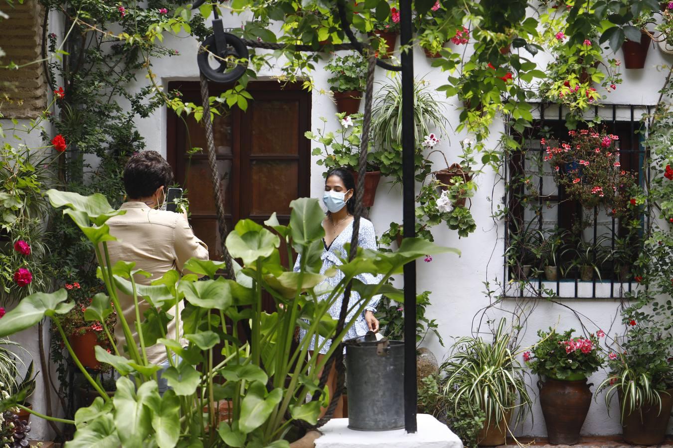 Los patios de la Judería de Córdoba, en imágenes