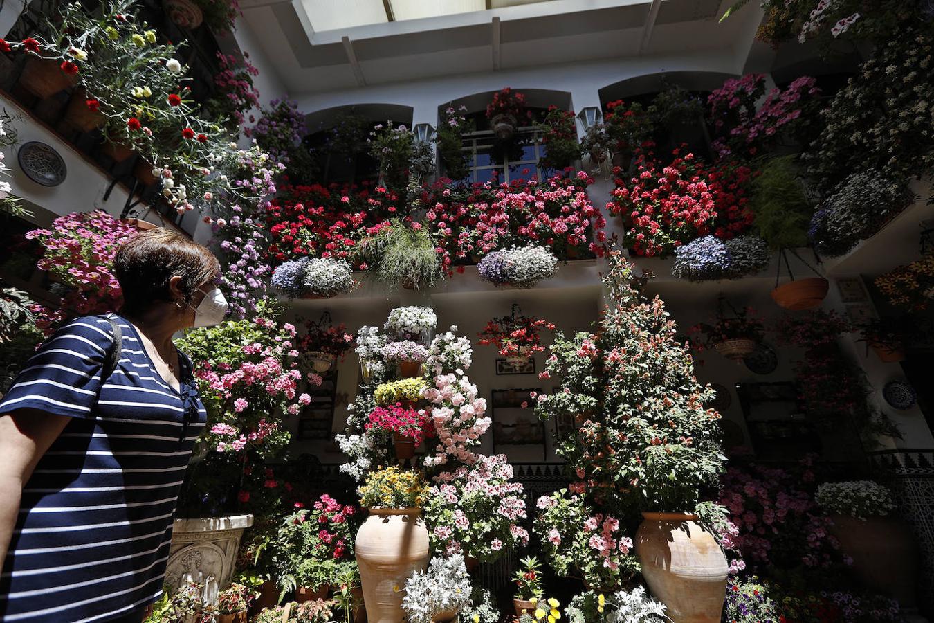 Patios de Córdoba 2021 | La ruta de San Agustín y Santa Marina, en imágenes