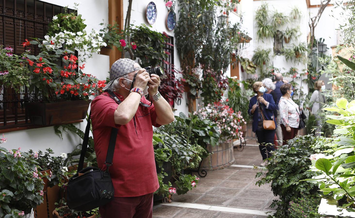 Patios de Córdoba 2021 | La ruta de San Agustín y Santa Marina, en imágenes