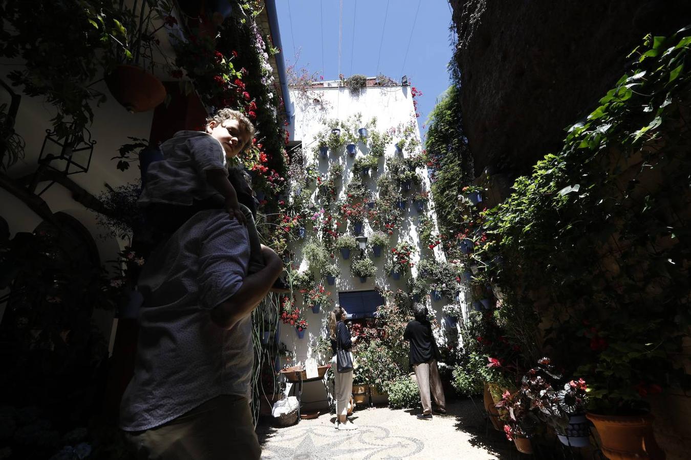 Patios de Córdoba 2021 | El Alcázar Viejo, en imágenes