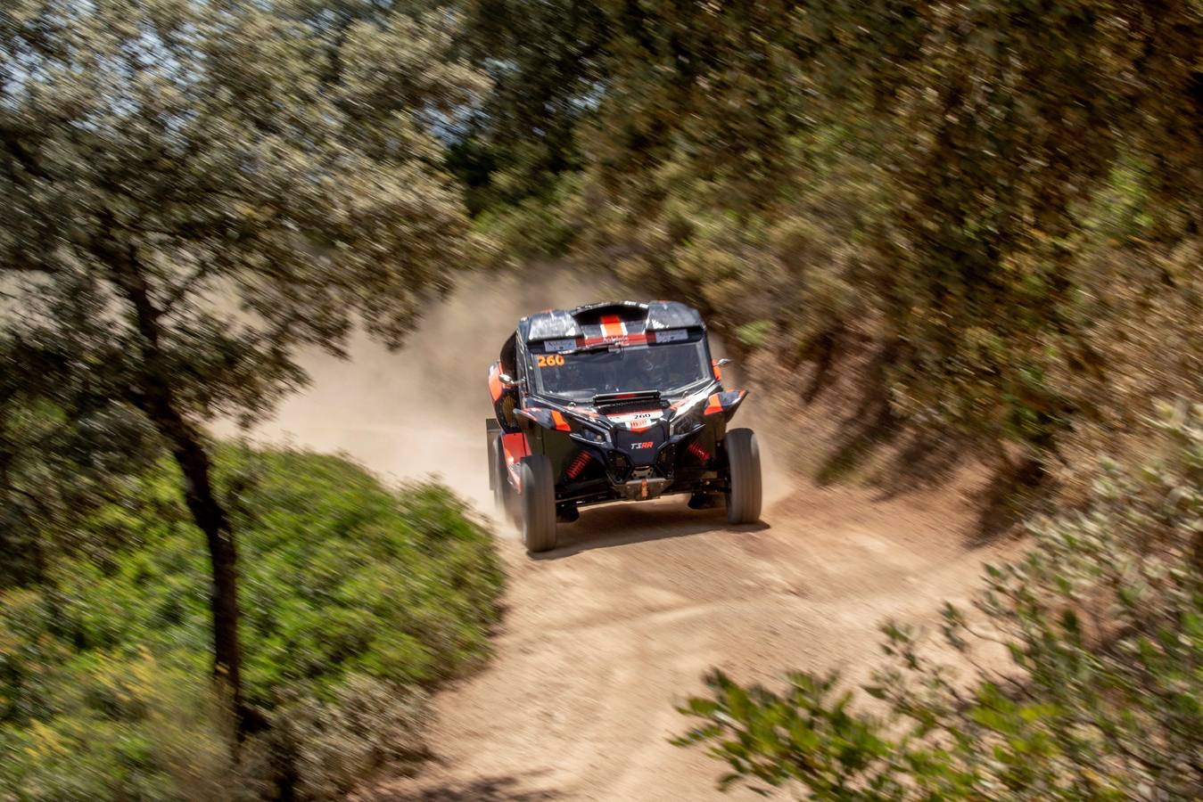 El paso de Carlos Sainz por Palma del Río y Santaella con el Andalucía Rally, en imágenes