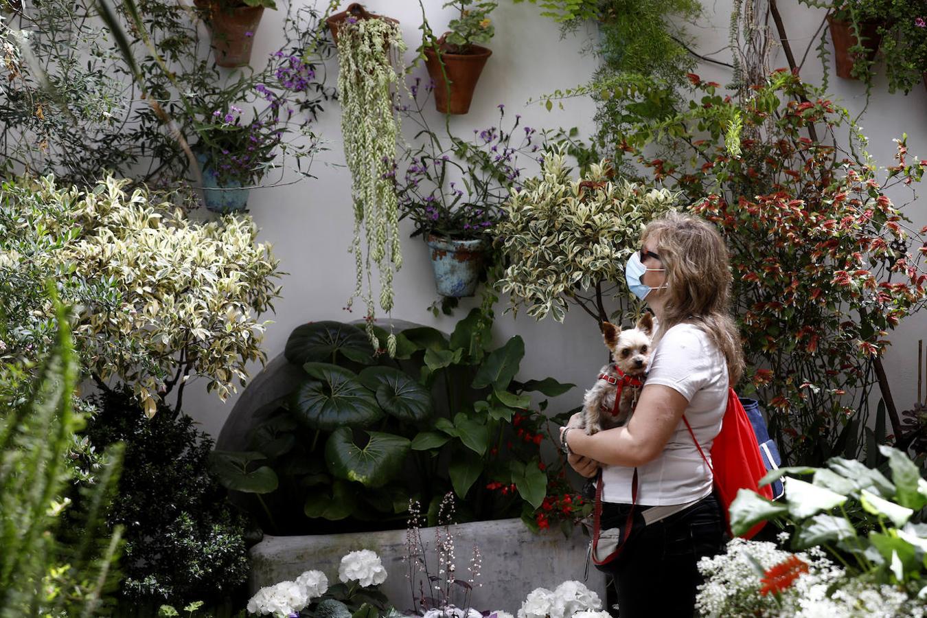 Patios de Córdoba 2021 | La ruta de San Lorenzo, en imágenes