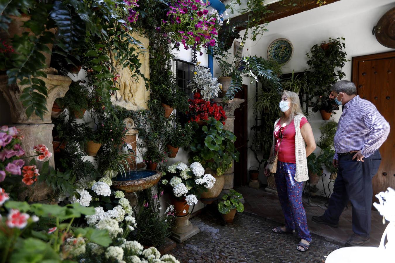 Patios de Córdoba 2021 | La ruta de San Lorenzo, en imágenes