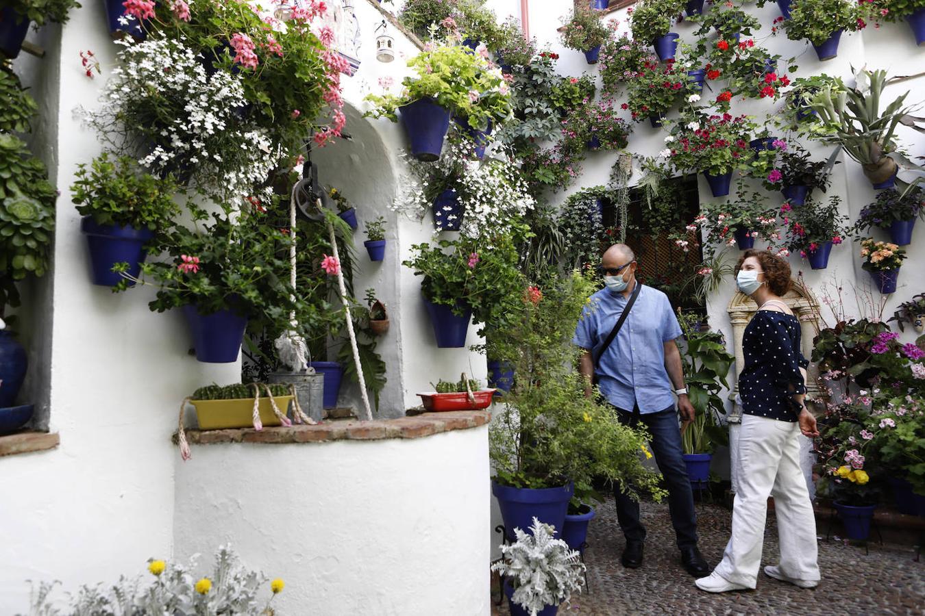 Patios de Córdoba 2021 | La ruta de San Lorenzo, en imágenes