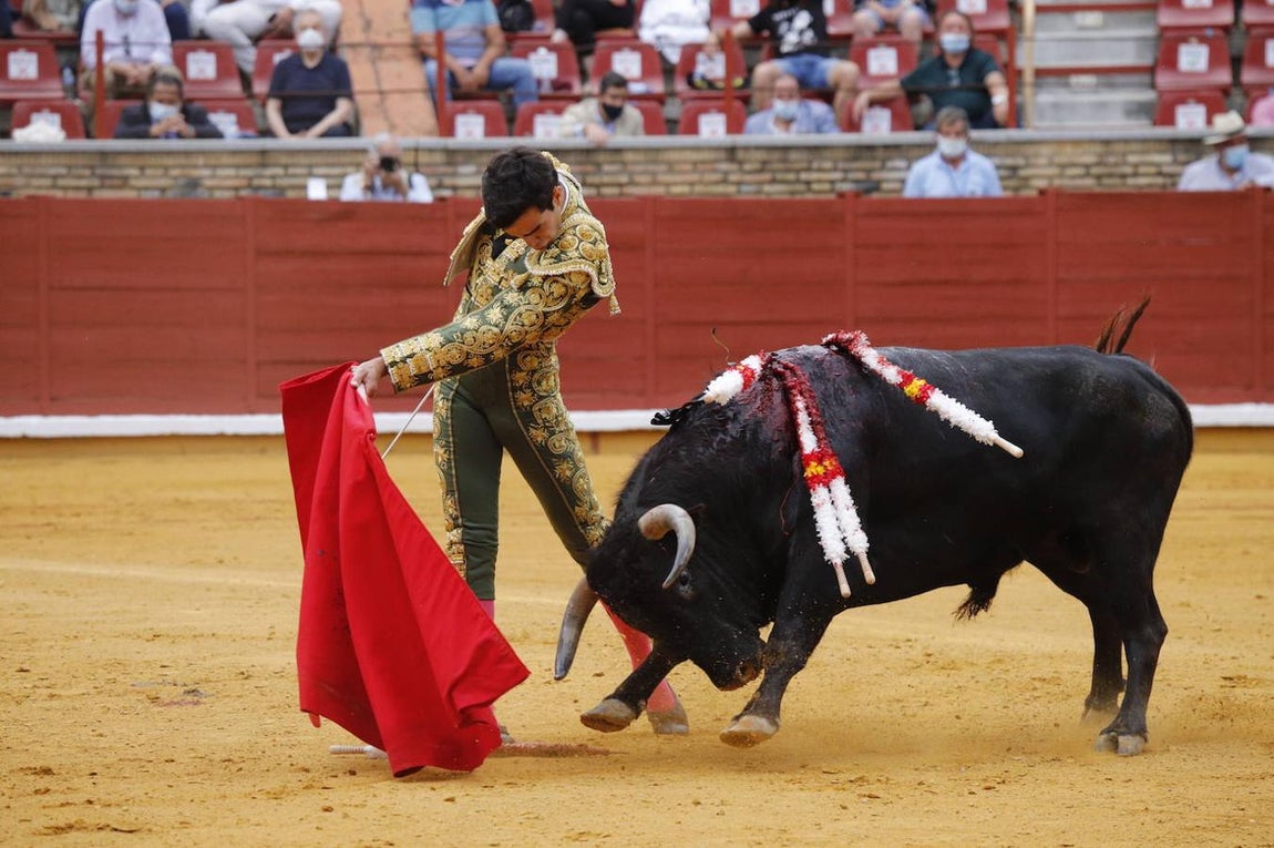 La novillada que ha abierto la Feria de Córdoba, en imágenes