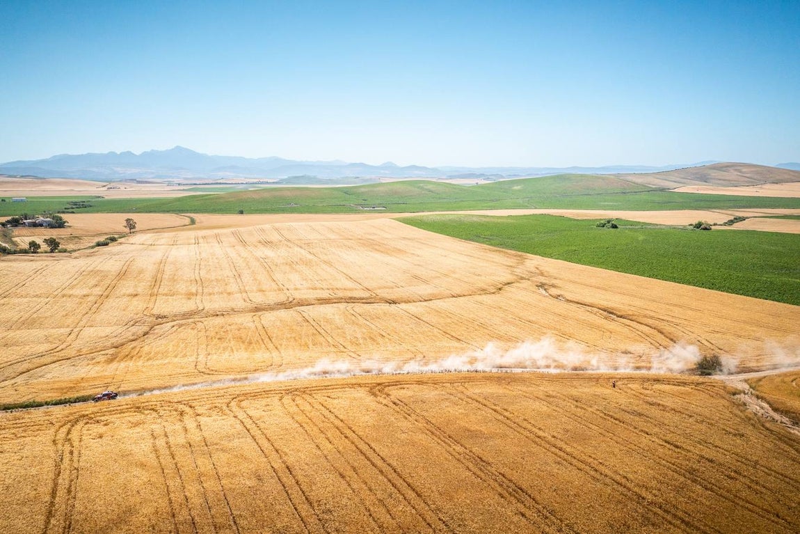 FOTOS: La etapa del Rally Andalucía 2021, en Cádiz