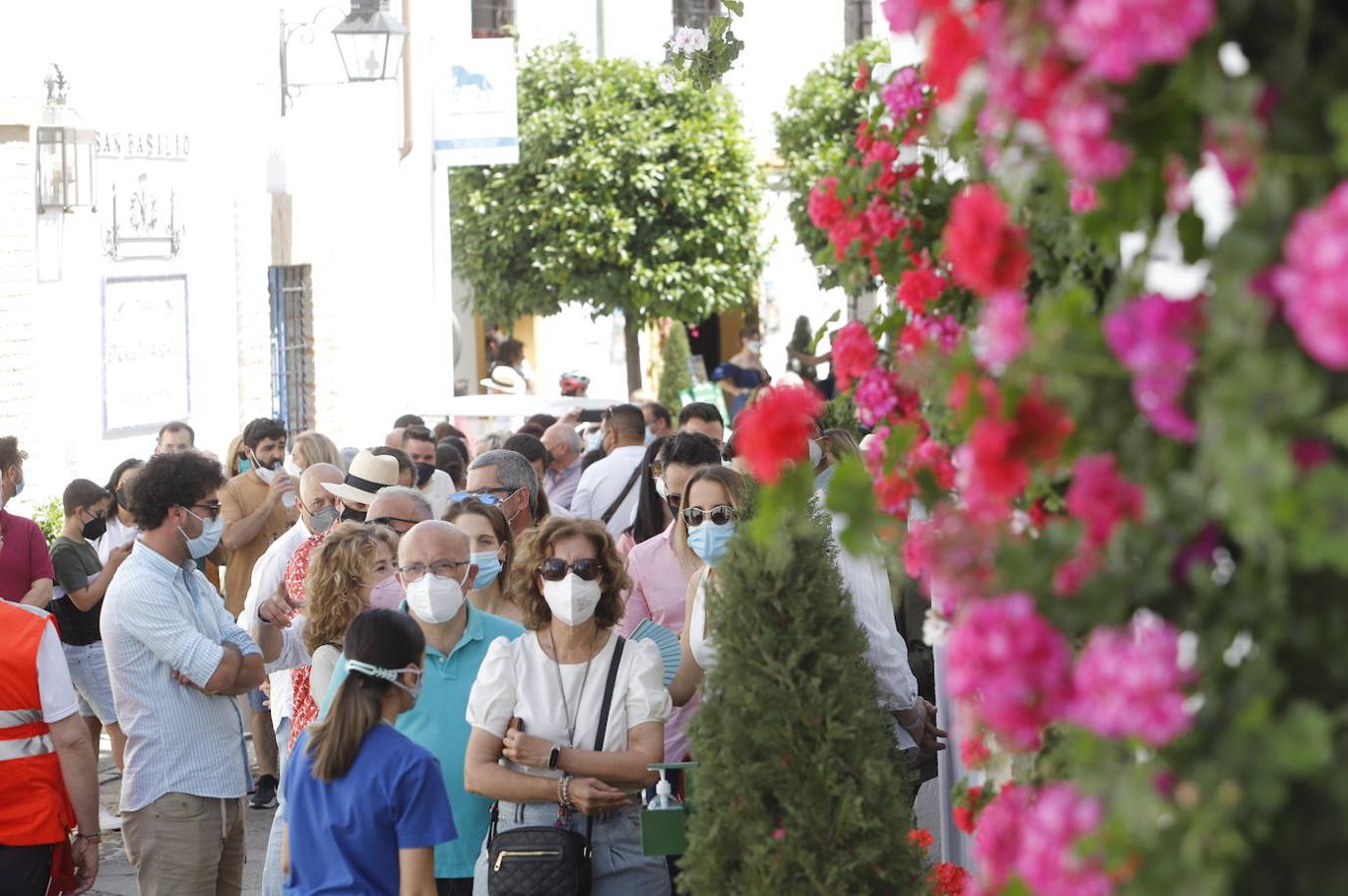 El ambiente turístico en Córdoba este sábado, en imágenes