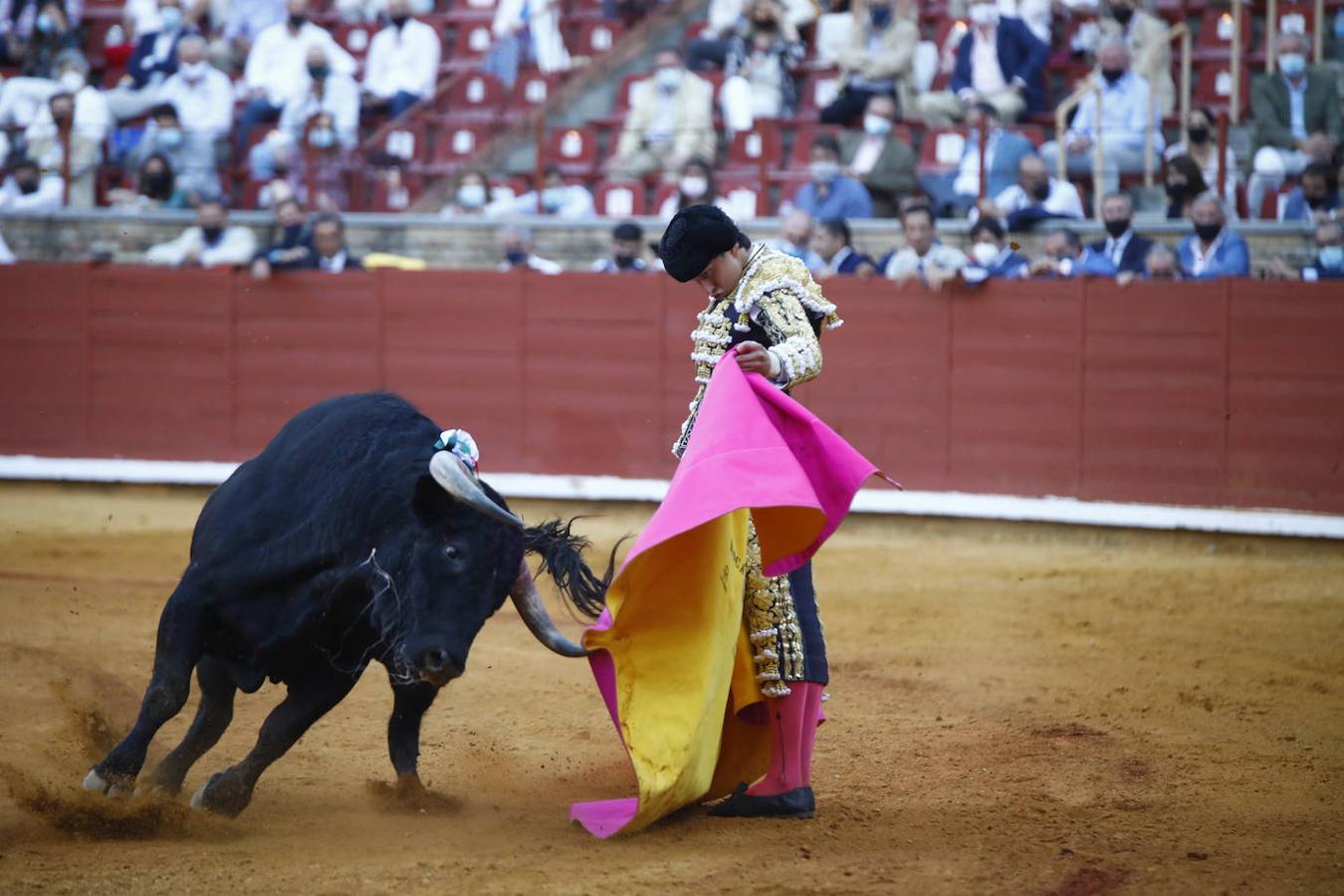 Toros en Córdoba | La primera corrida de la Feria de Mayo, en imágenes