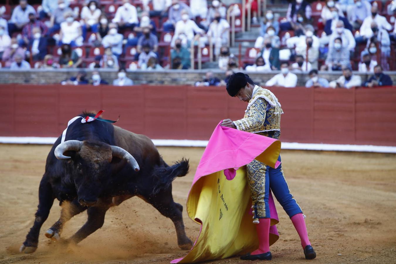 Toros en Córdoba | La primera corrida de la Feria de Mayo, en imágenes