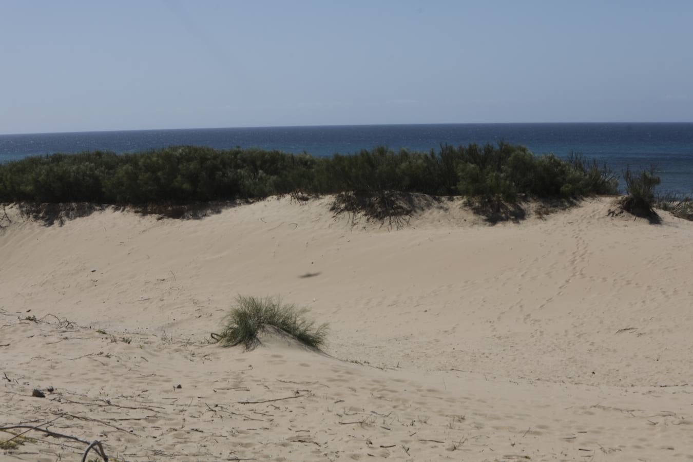 FOTOS: Recorrido fotográfico por las playas de la costa de Cádiz