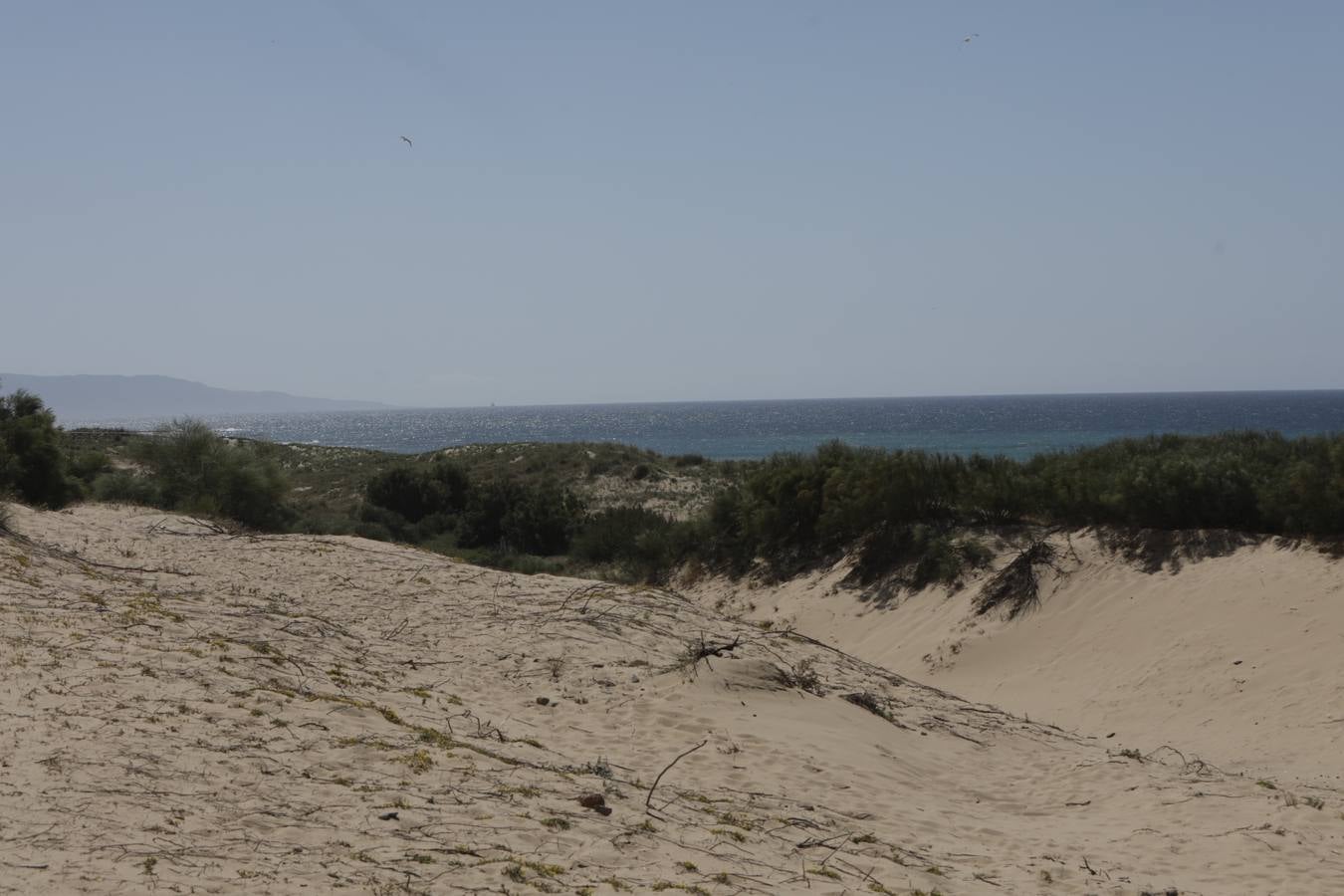 FOTOS: Recorrido fotográfico por las playas de la costa de Cádiz