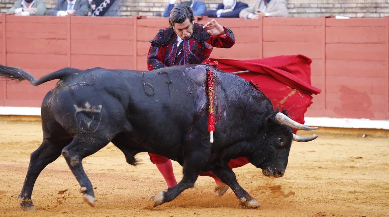 Toros Córdoba 2021 | La segunda corrida de la Feria, en imágenes