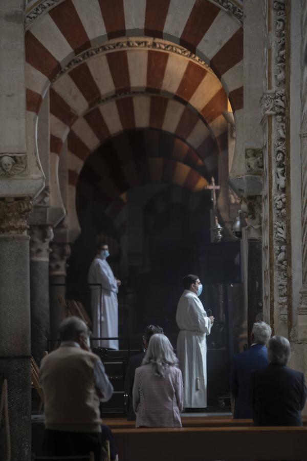 La cita de las hermandades de Gloria en la Catedral de Córdoba, en imágenes