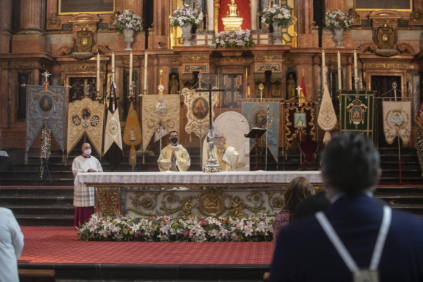 La cita de las hermandades de Gloria en la Catedral de Córdoba, en imágenes
