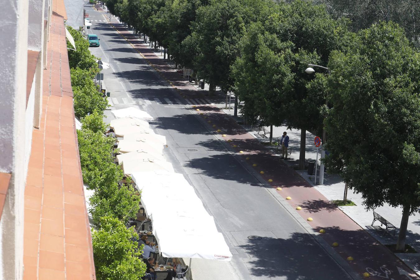 El ambiente hostelero de la Ribera de Córdoba, en imágenes