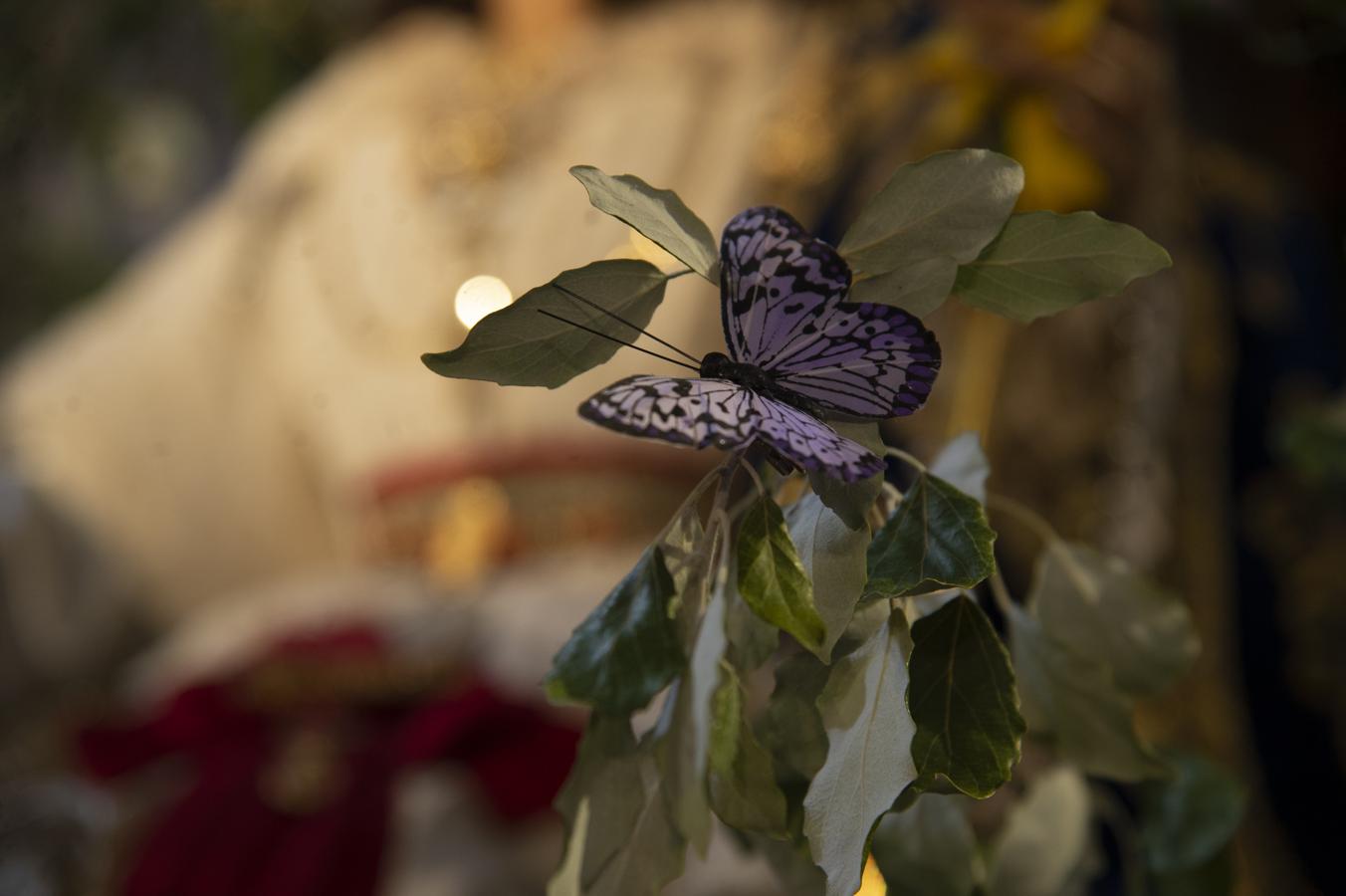 La veneración de los fieles de la Pastora de San Antonio