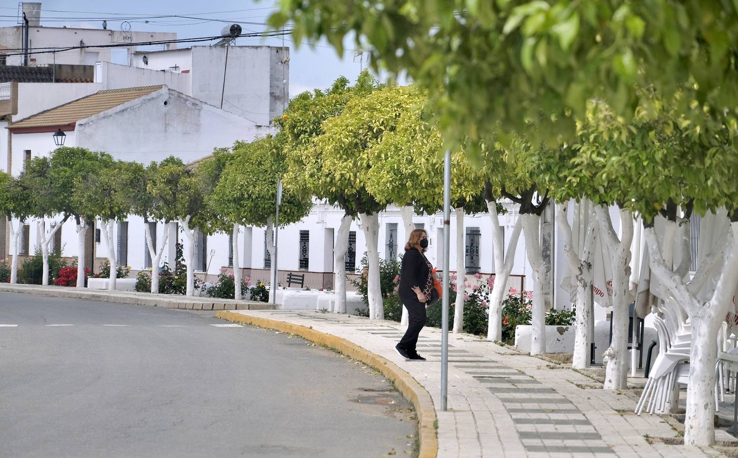 Poblados andaluces de colonización: centinelas del patrimonio rural olvidado