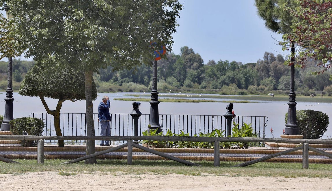 El Rocío resiste al límite otro año sin romería