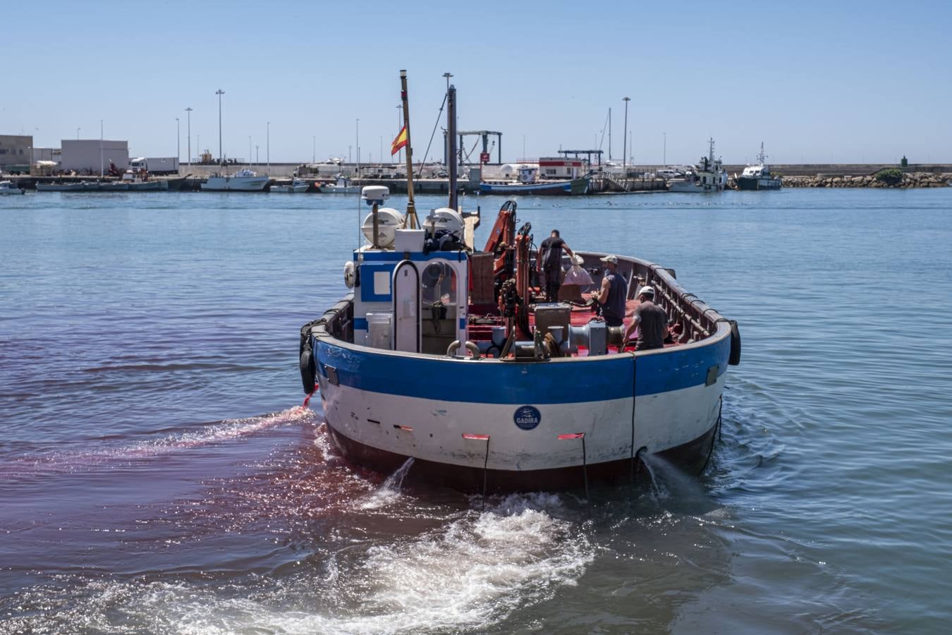 Artesanos del atún rojo salvaje en Cádiz