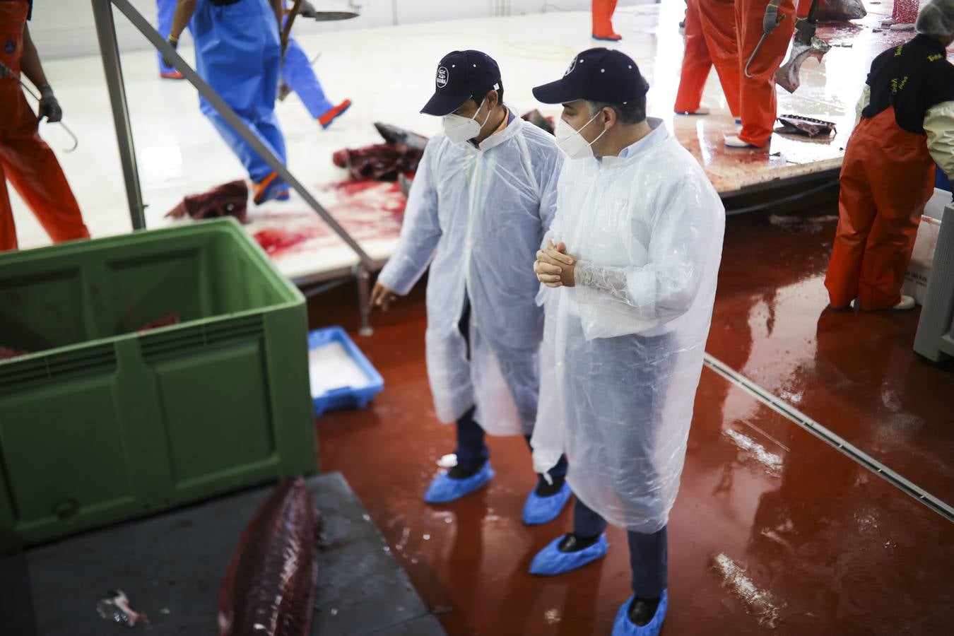 Fotos: Elías Bendodo, en un ronqueo de atún en Barbate