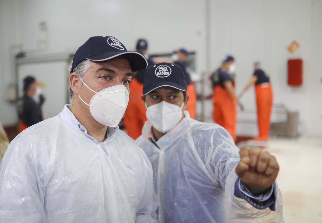 Fotos: Elías Bendodo, en un ronqueo de atún en Barbate