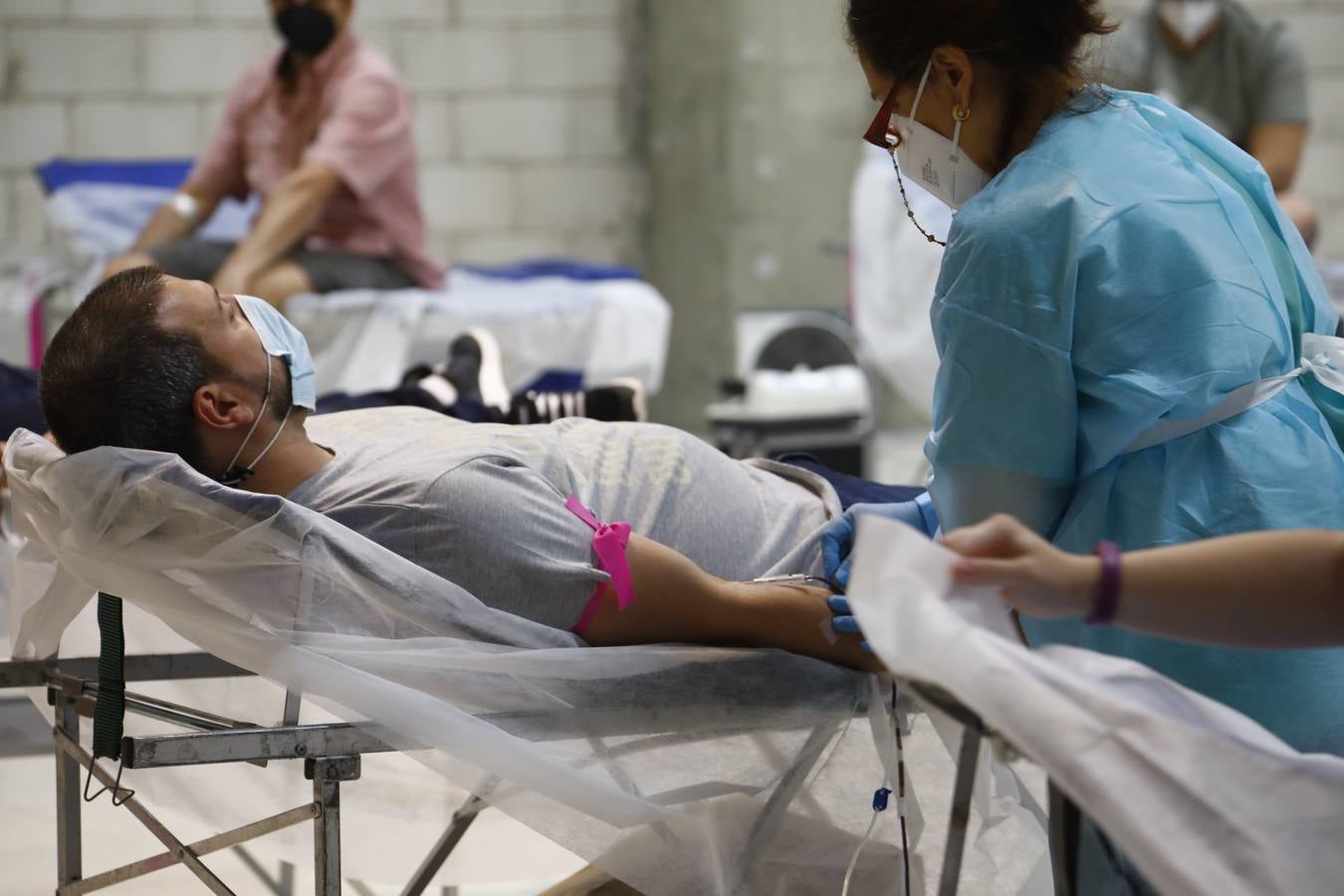 La donación de sangre en el Centro Comercial El Arcángel, en imágenes