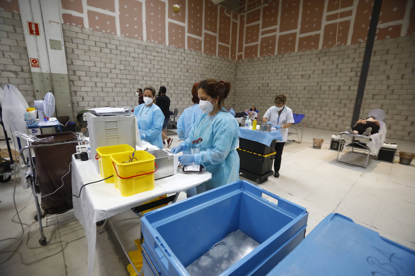 La donación de sangre en el centro comercial El Arcángel de Córdoba, en imágenes