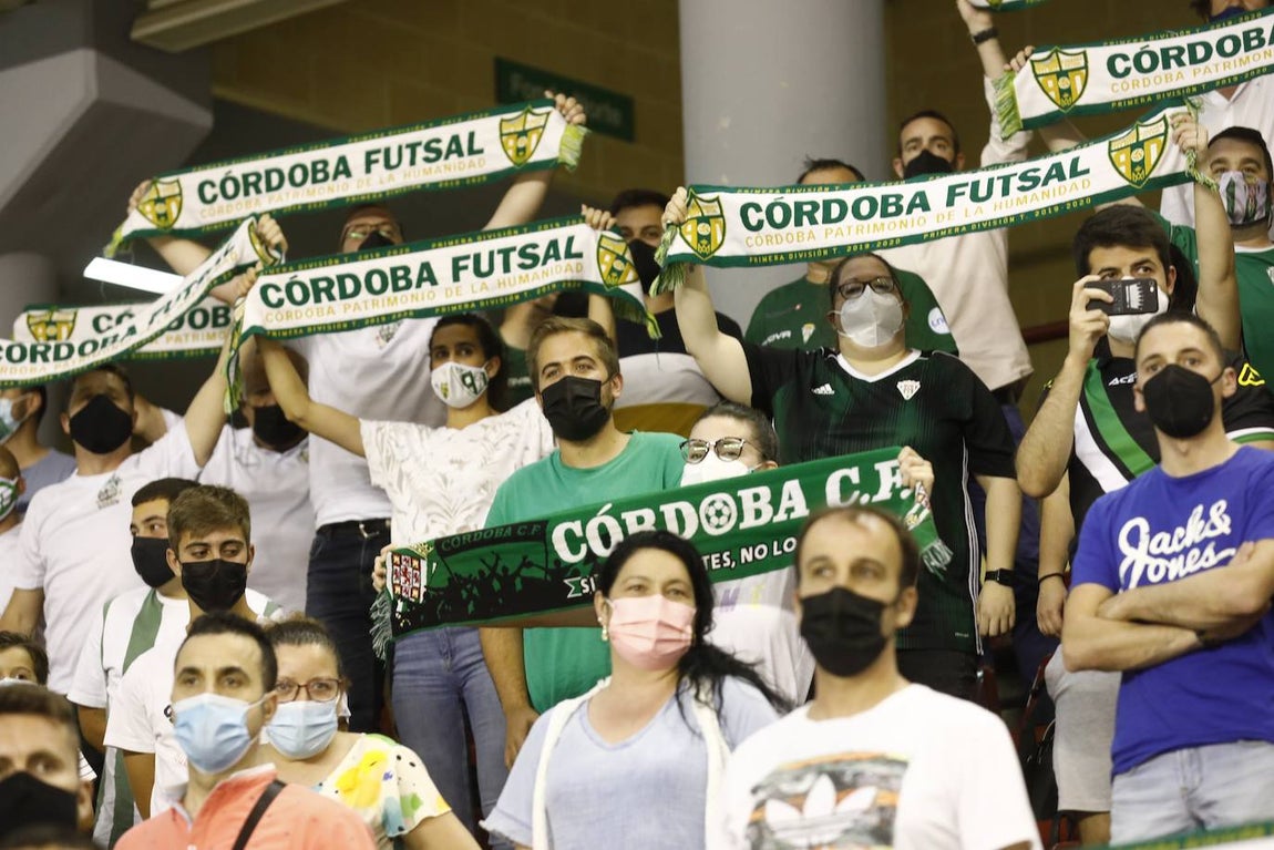 Las mejores imágenes del Córdoba Patrimonio - ElPozo Murcia