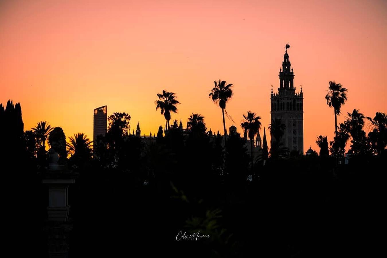 La magia de la Sevilla nocturna, protagonista de las imágenes recibidas en el reto fotográfico de ABC