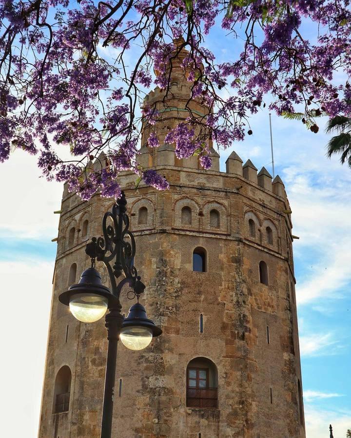 La magia de la Sevilla nocturna, protagonista de las imágenes recibidas en el reto fotográfico de ABC