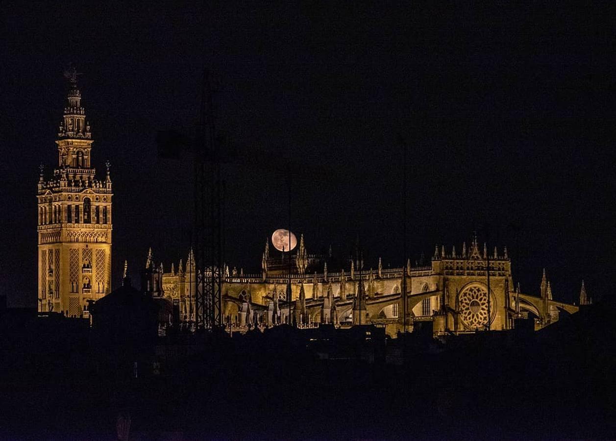 La magia de la Sevilla nocturna, protagonista de las imágenes recibidas en el reto fotográfico de ABC