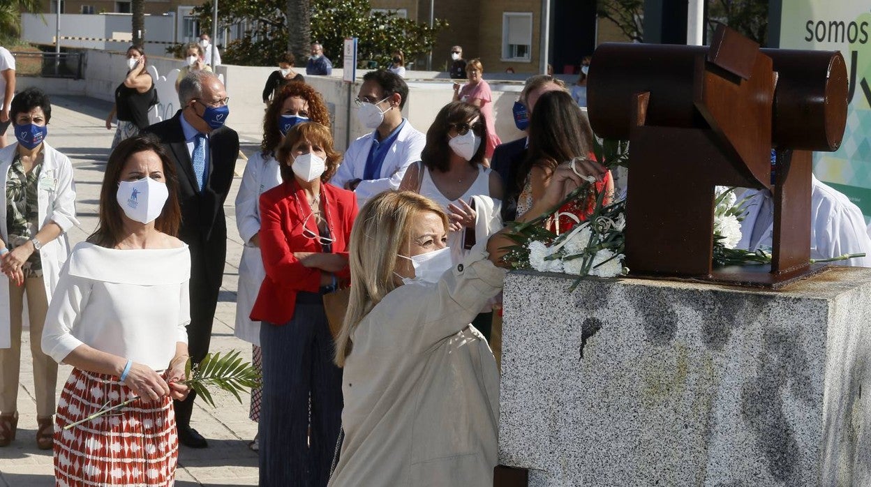 En imágenes, conmemoración del Día Nacional de los Donantes de Órganos y Tejidos en Sevilla