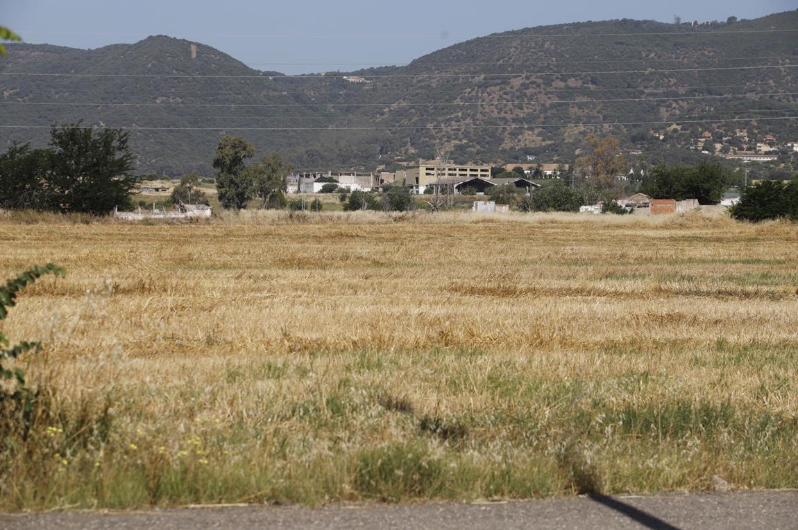 La Huerta de Santa Isabel Oeste de Córdoba, en imágenes