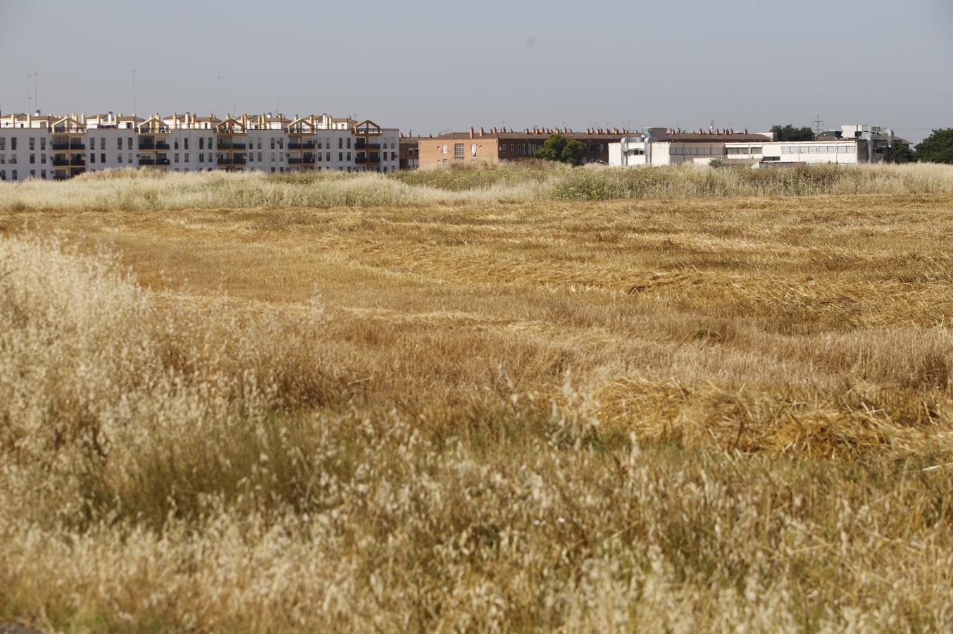 La Huerta de Santa Isabel Oeste de Córdoba, en imágenes