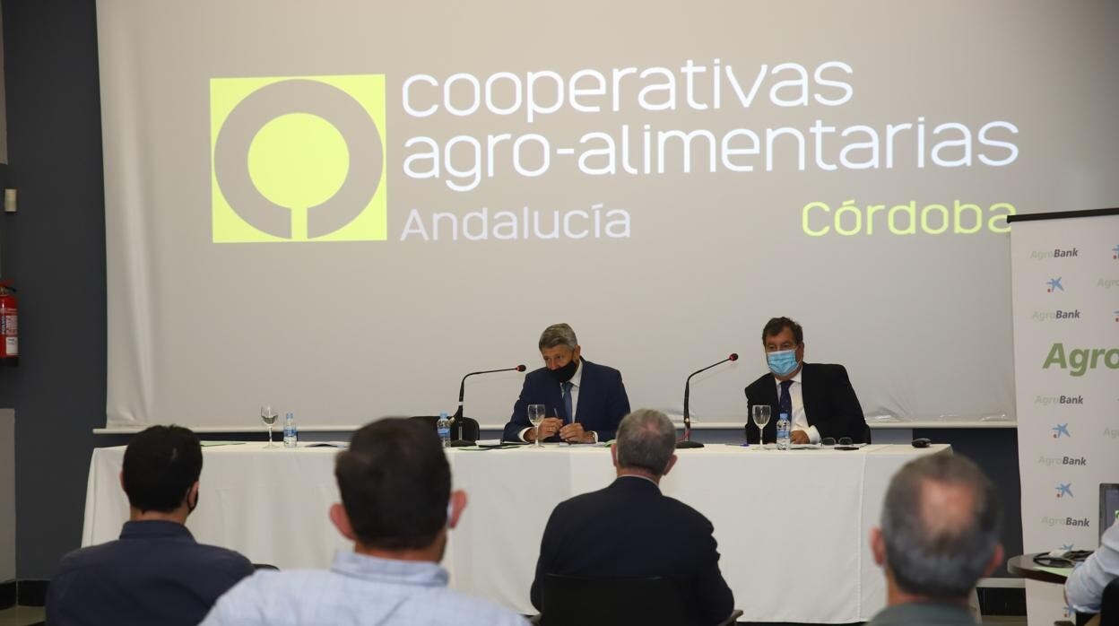 La asamblea de cooperativas agro-alimentarias de Córdoba, en imágenes