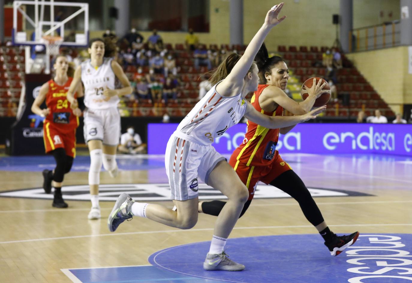 Las mejores imágenes del partido de baloncesto España-Bélgica en Córdoba