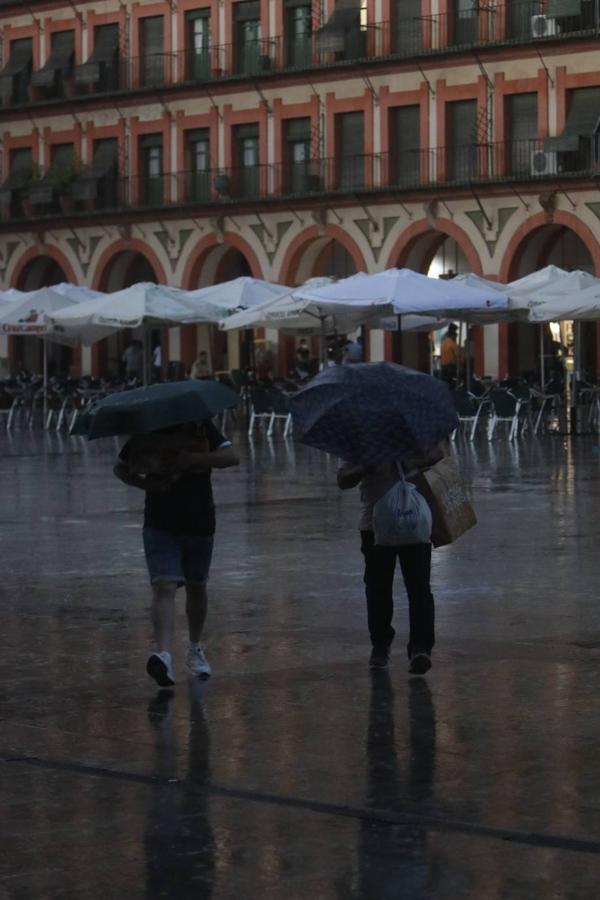 La fuerte tormenta vivida en Córdoba, en imágenes