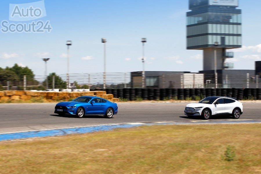 Fotogalería: Ford Mustang Fastback GT vs. Mach-e