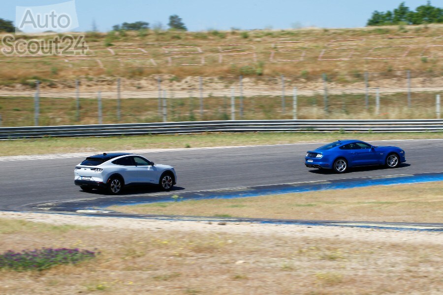 Fotogalería: Ford Mustang Fastback GT vs. Mach-e
