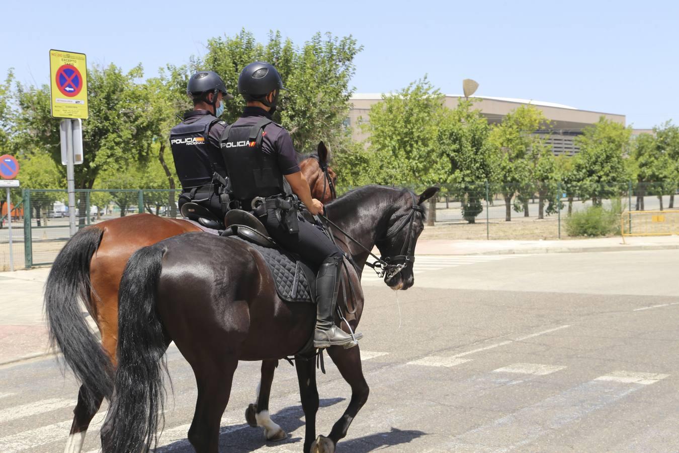 Sevilla se blinda para la Eurocopa 2020: el dispositivo policial, en imágenes